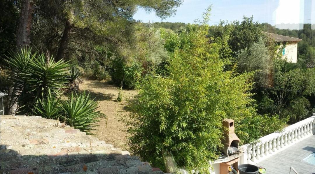 Appartement Pinede Man Yelle Sanary-sur-Mer Esterno foto